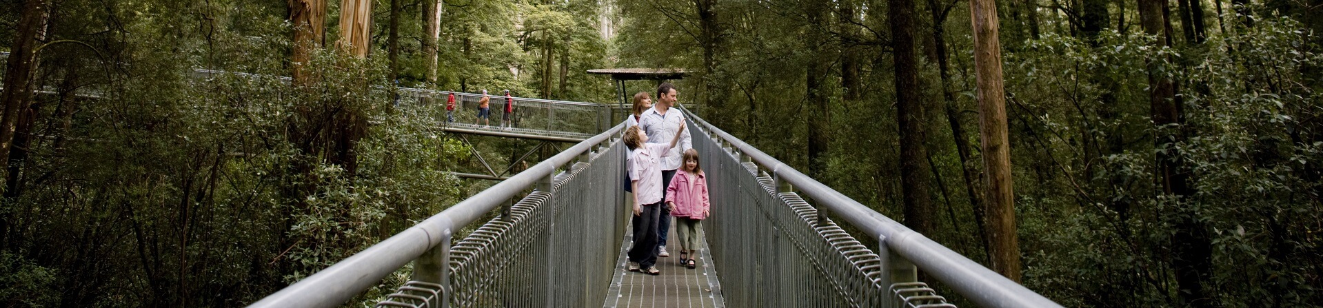 What is the Great Otway National Park known for?
